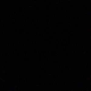 Meet your Posher, Wilnick